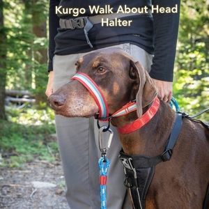 NEW Kurgo Walk About Head Halter for Dogs Size Medium Striped